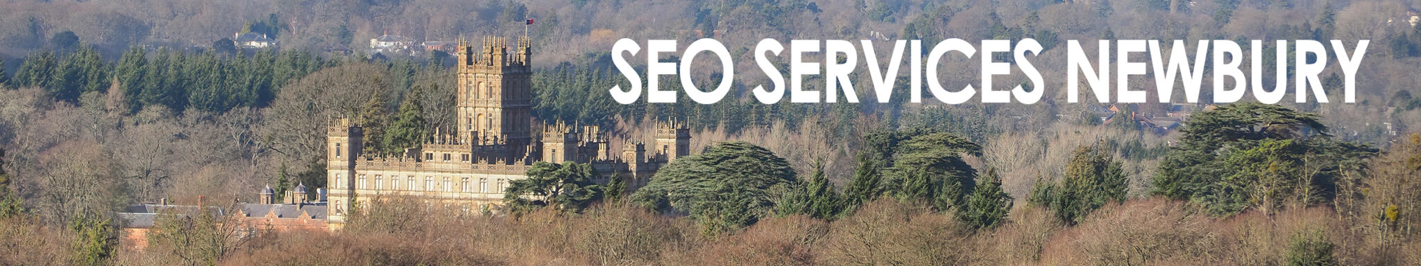 SEO and Digital Marketing in Newbury