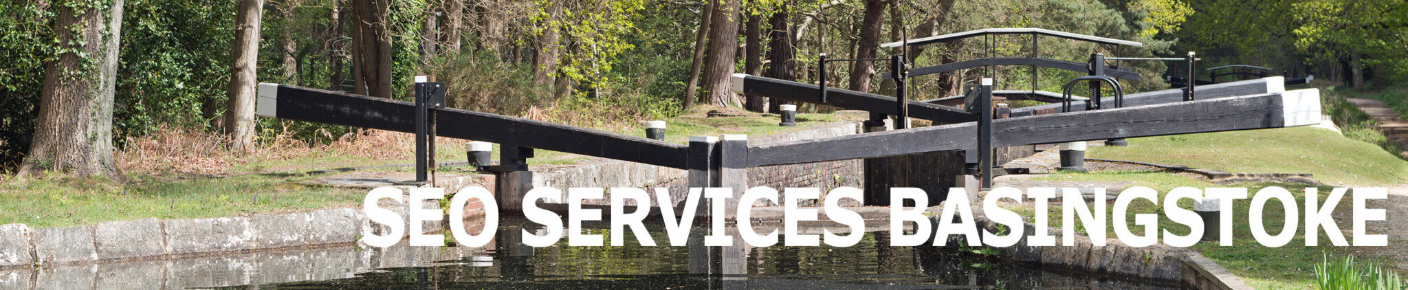 SEO and Digital Marketing in Basingstoke